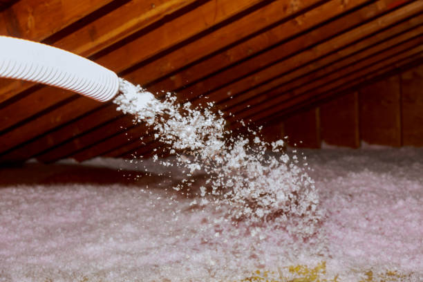 Best Geographic-Specific Insulation Services in Wetumka, OK