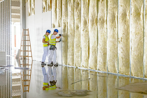 Best Specialized Insulation Services in Wetumka, OK